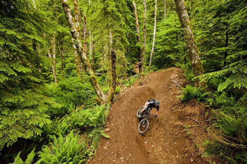 alsea falls mountain biking